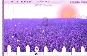 勇闯精灵大陆4