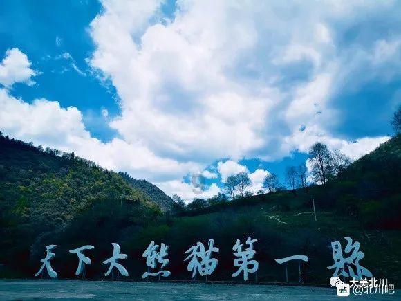 加入违法犯罪行为有哪些知识星球,深度探索专业领域